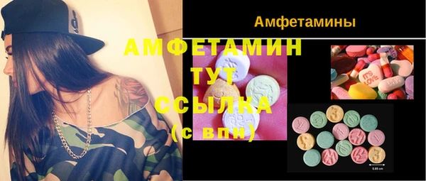 ГАЛЛЮЦИНОГЕННЫЕ ГРИБЫ Алзамай